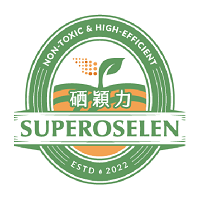 未命名-1_工作區域 1-01